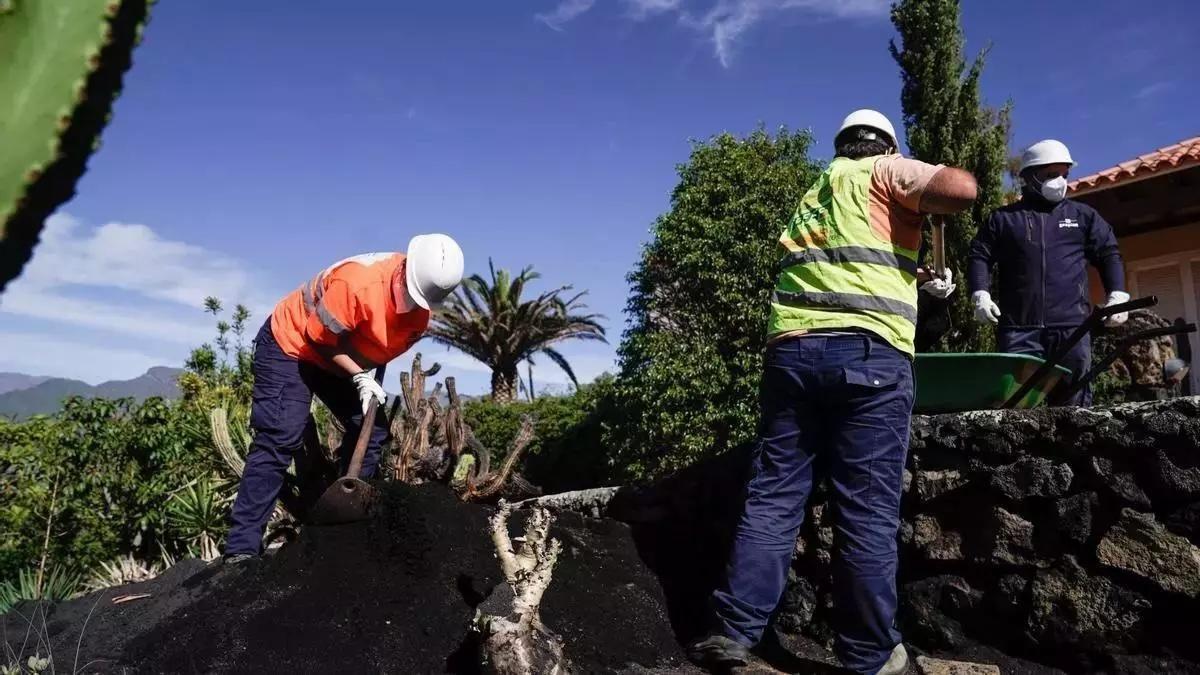 El Gobierno aprueba subvencionar el Plan de Empleo de La Palma con 30 millones de euros