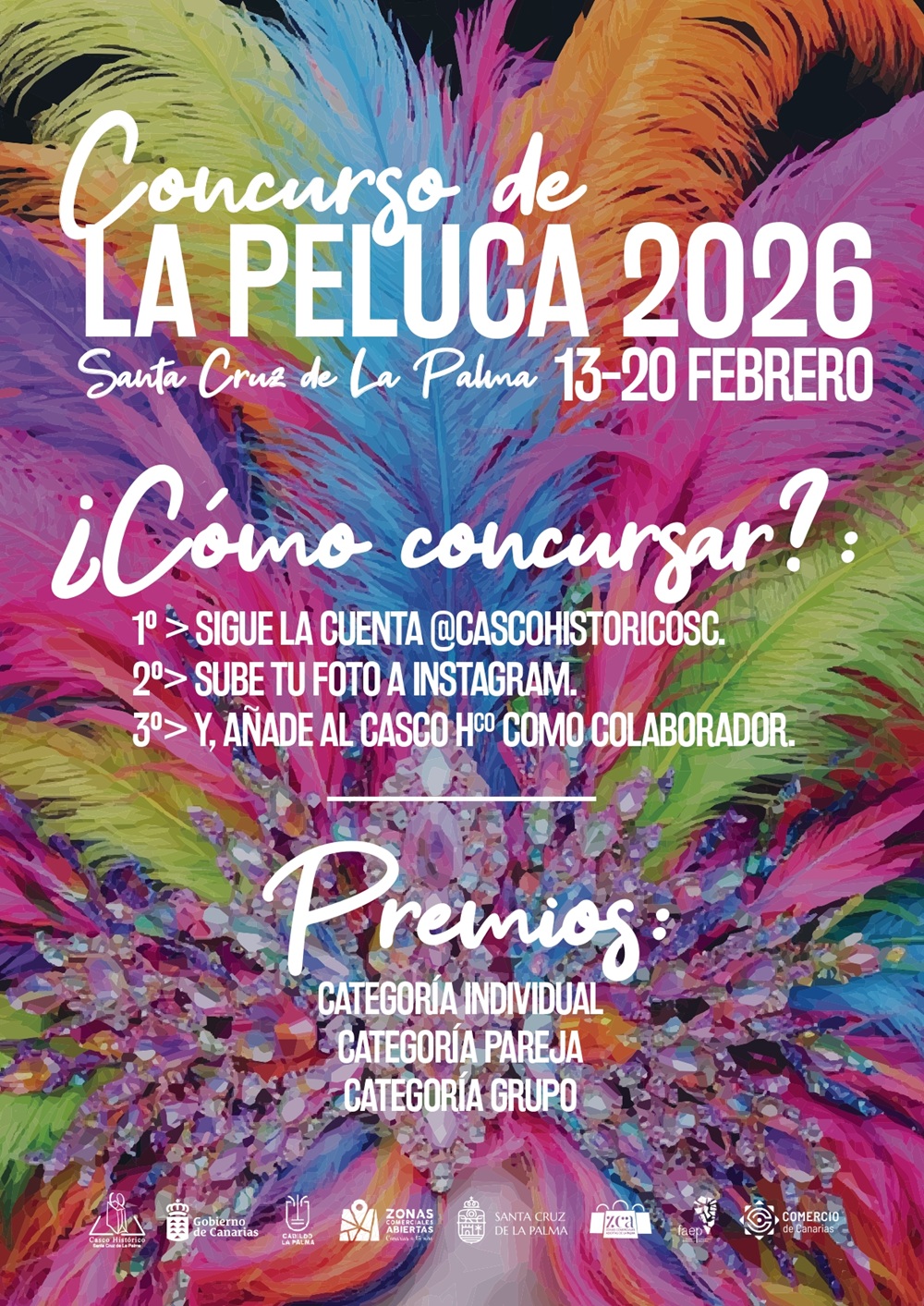 La Zona Comercial Abierta de Santa Cruz de La Palma organiza el Concurso de La Peluca 2026