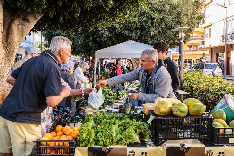 ‘Sembramos para ti’: La nueva campaña del Ayuntamiento de Los Llanos para dinamizar el Mercadillo del Agricultor
