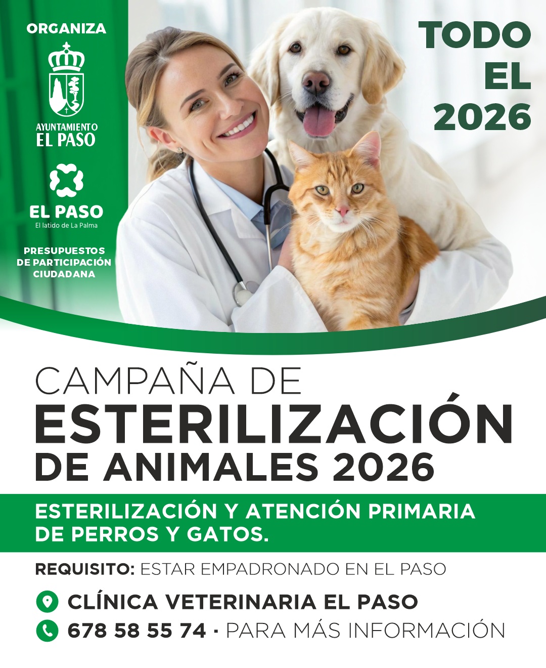 El Ayuntamiento de El Paso impulsa una campaña de esterilización de perros y gatos a través de los presupuestos participativos