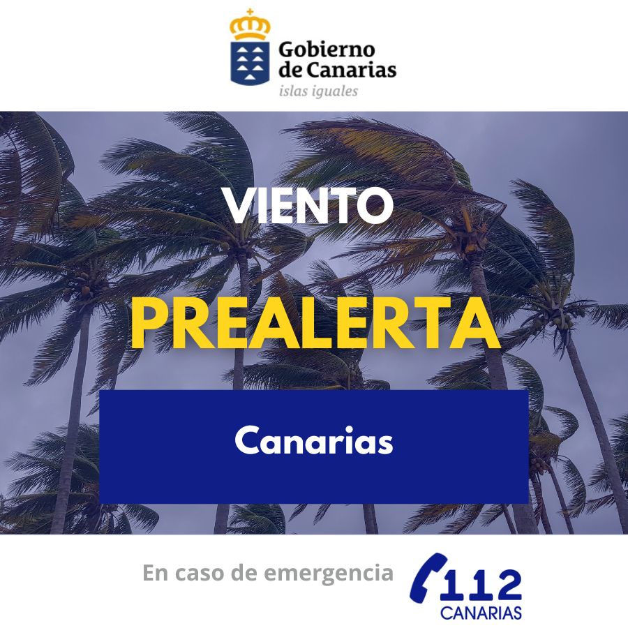 El Gobierno de Canarias declara la prealerta por viento en el archipiélago