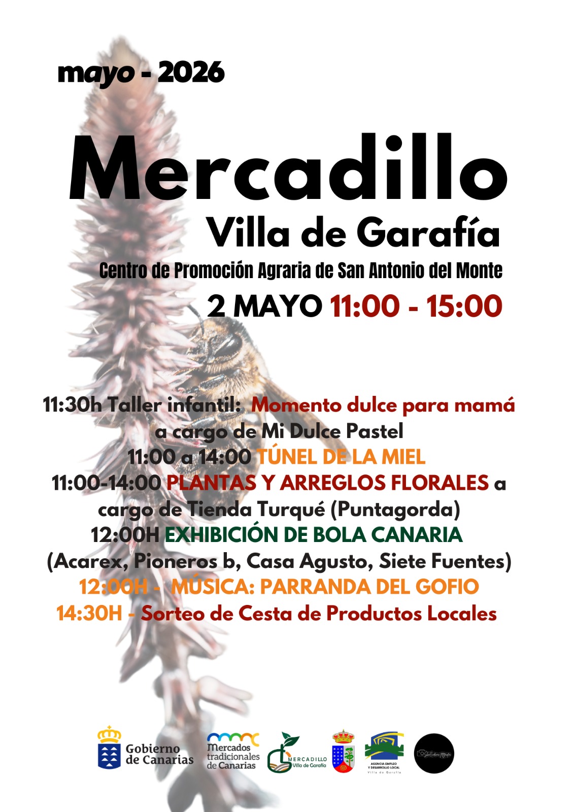 El Mercadillo Villa de Garafía celebra su edición de mayo con una jornada dedicada a la miel y a la Bola Canaria