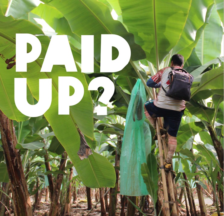 Un informe de Oxfam Internacional denuncia la cruda realidad de la producción de banana exportada a la Unión Europea
