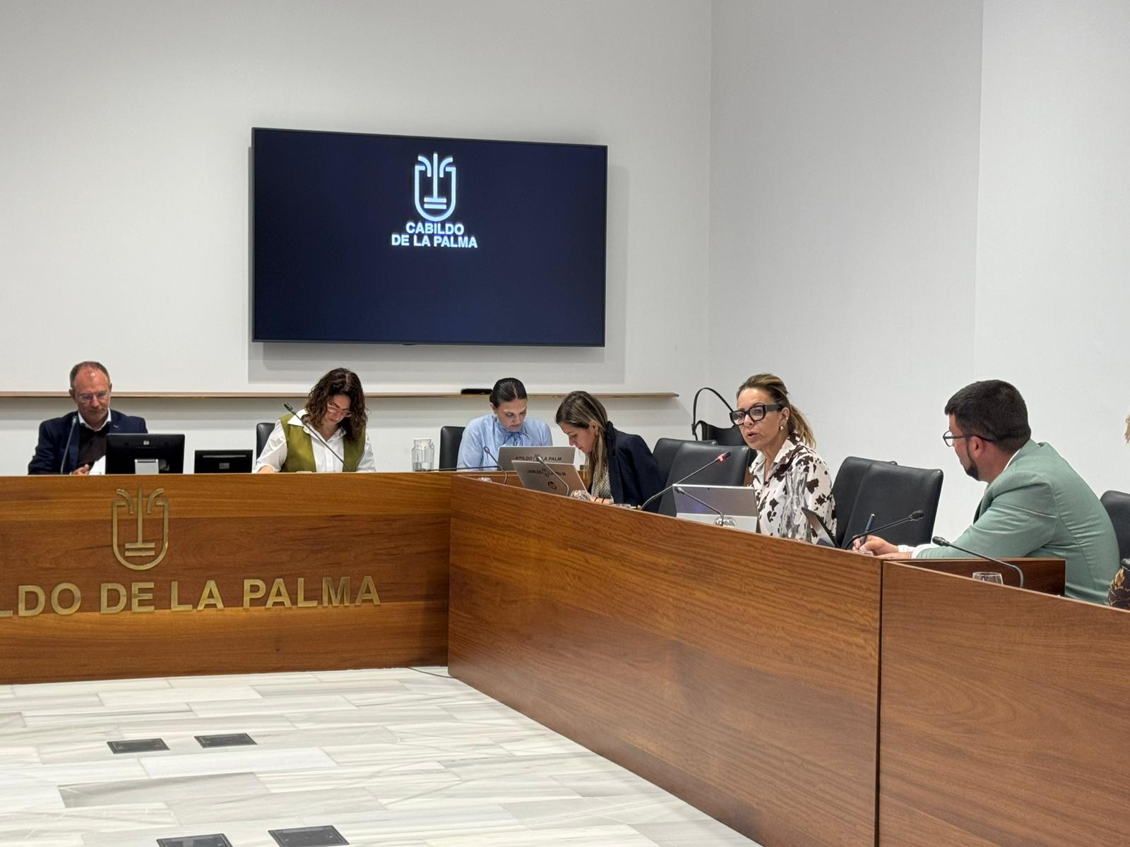 El Cabildo La Palma aprueba una moción para proteger a los pensionistas canarios
