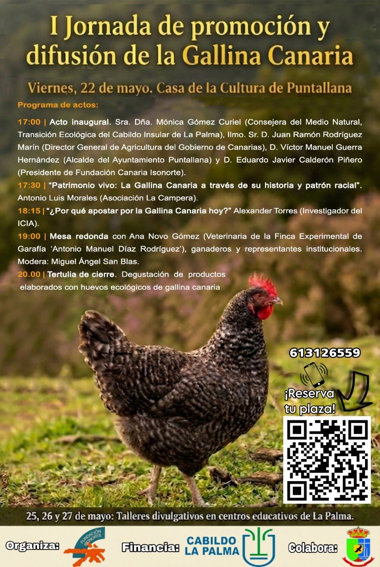 Isonorte impulsa la recuperación de la Gallina Canaria con un encuentro para valorar esta raza