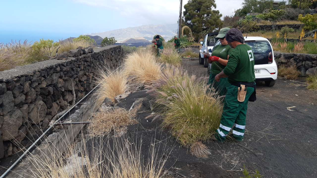 El Cabildo mejora los entornos naturales de La Palma con un plan de empleo social