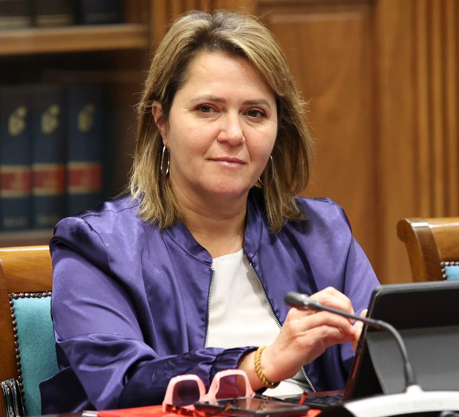PSOE: "El Gobierno canario veta el acceso a los listados de los beneficiarios de las ayudas del volcán"