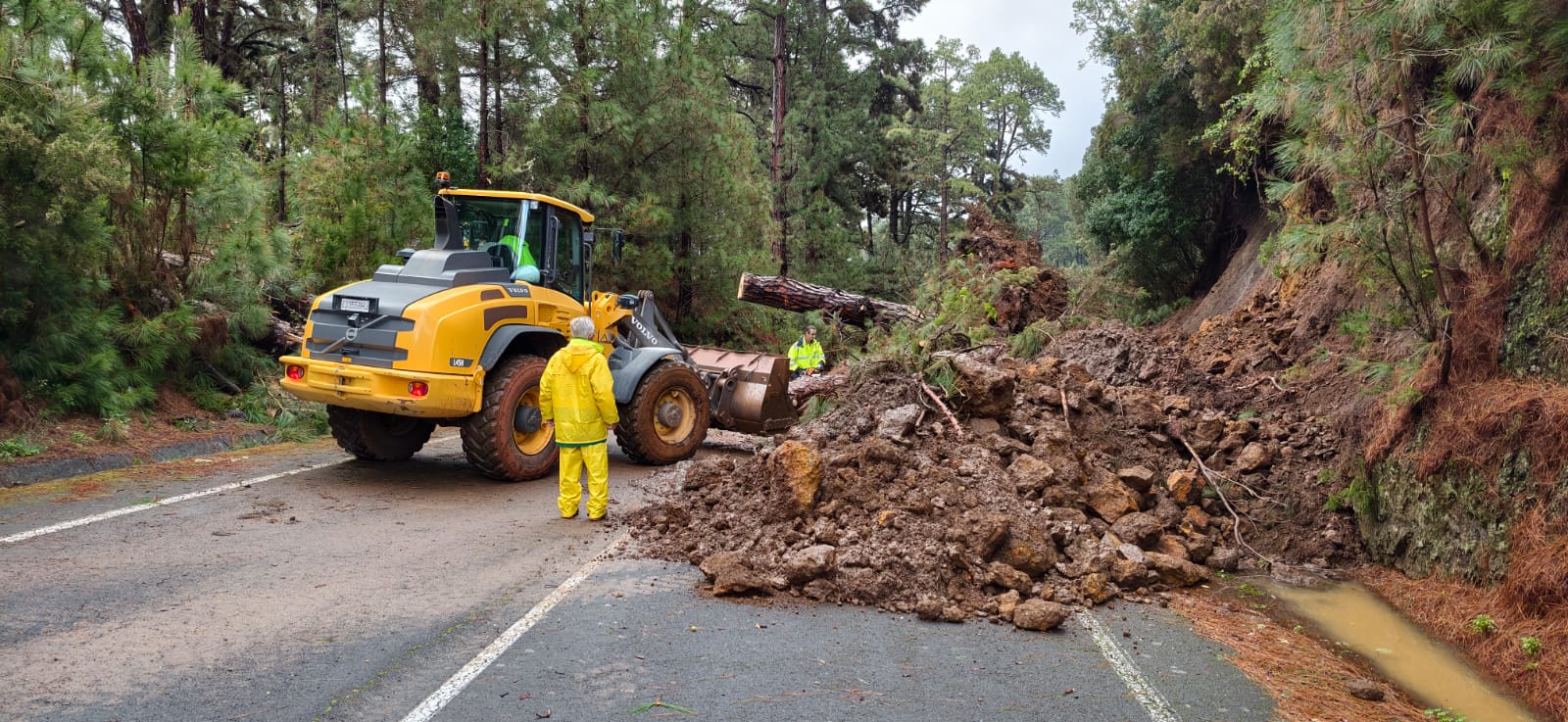 El PSOE de Garafía exige mejoras urgentes ante la situación crítica de la carretera del Norte de La Palma