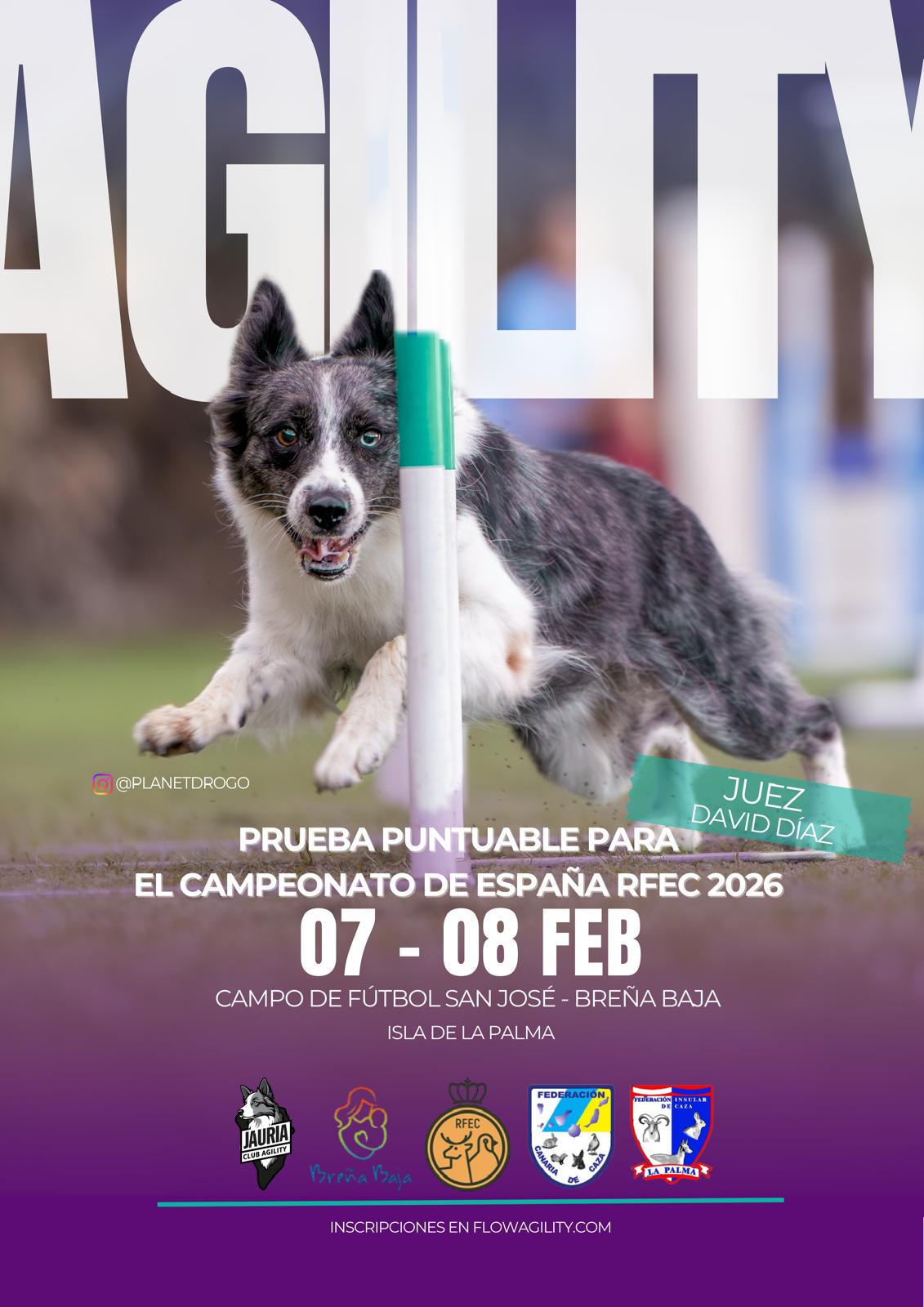 Agility-26-PruebaPuntuableCampeonatoEspaña-Cartel.jpg